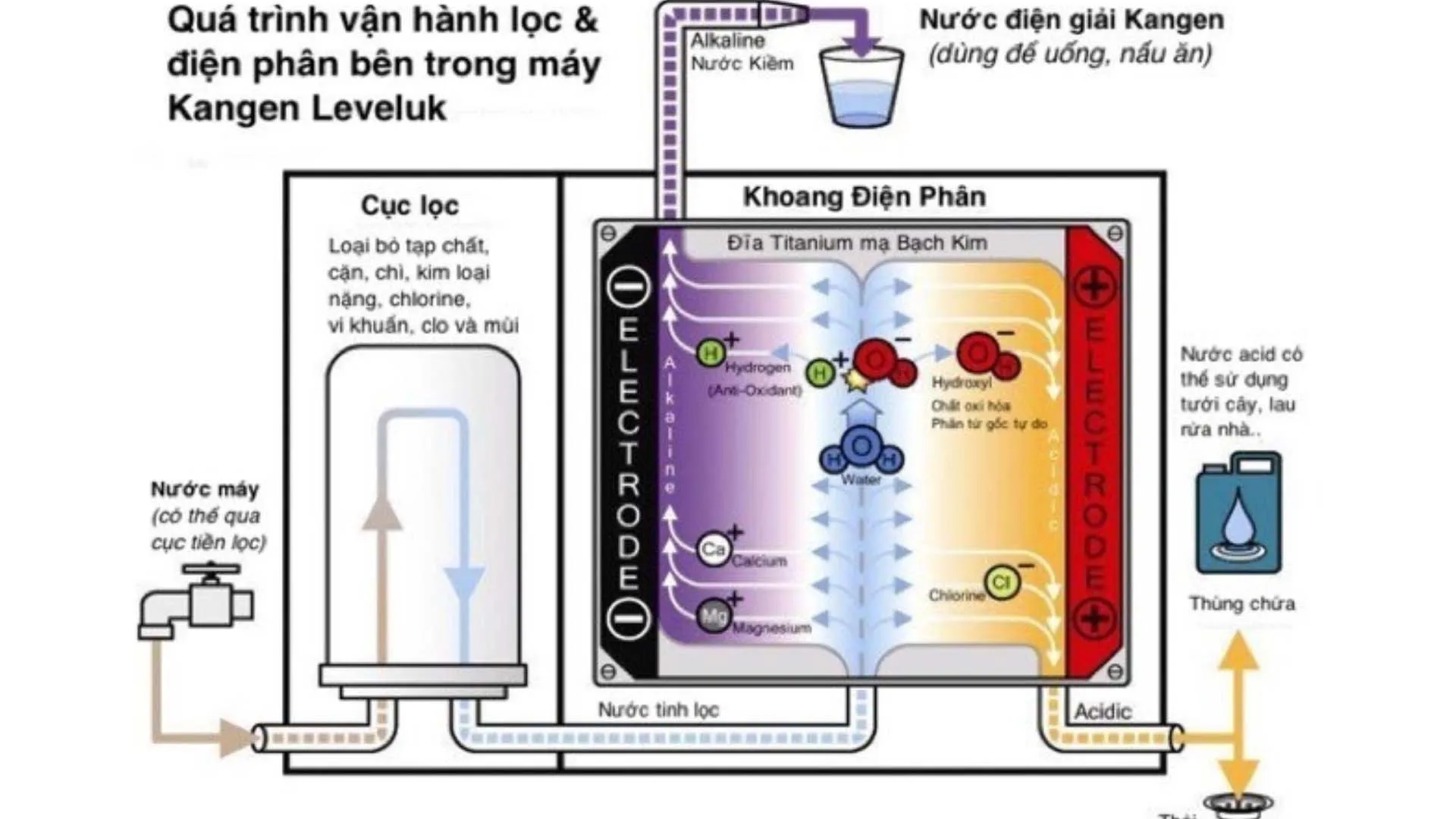 Quy trình lọc nước của Máy lọc nước ion kiềm Kangen LeveLuk SD501