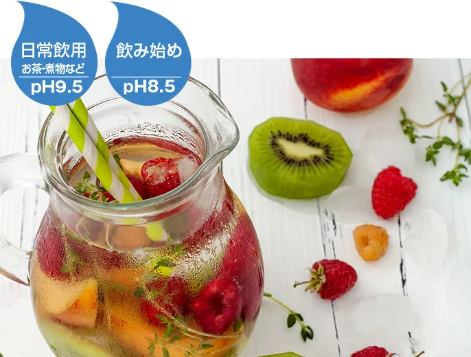 Tùy chọn chế độ nước máy lọc nước Panasonic TK-AS31 Tùy chọn chế độ nước máy lọc nước Panasonic TK-AS31