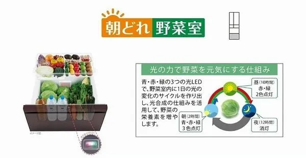 Đèn LED quang hợp 3 màu bảo quản rau củ