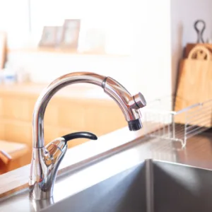Vòi rửa bát TOTO TKN34PBTA